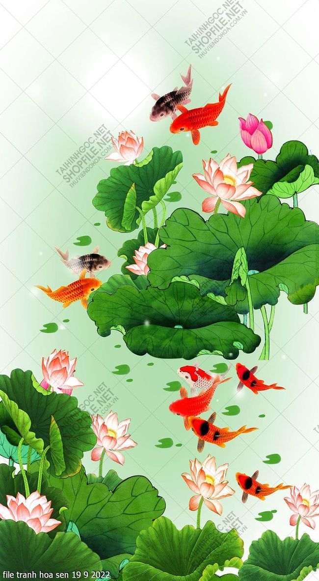 file tranh hoa sen 19 9 2022